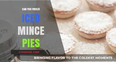 Festive Freeze: The Do's and Don'ts of Iced Mince Pie Storage
