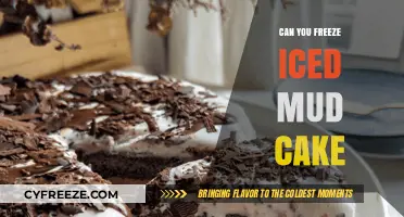 Chill or Not: The Great Iced Mud Cake Freezing Debate
