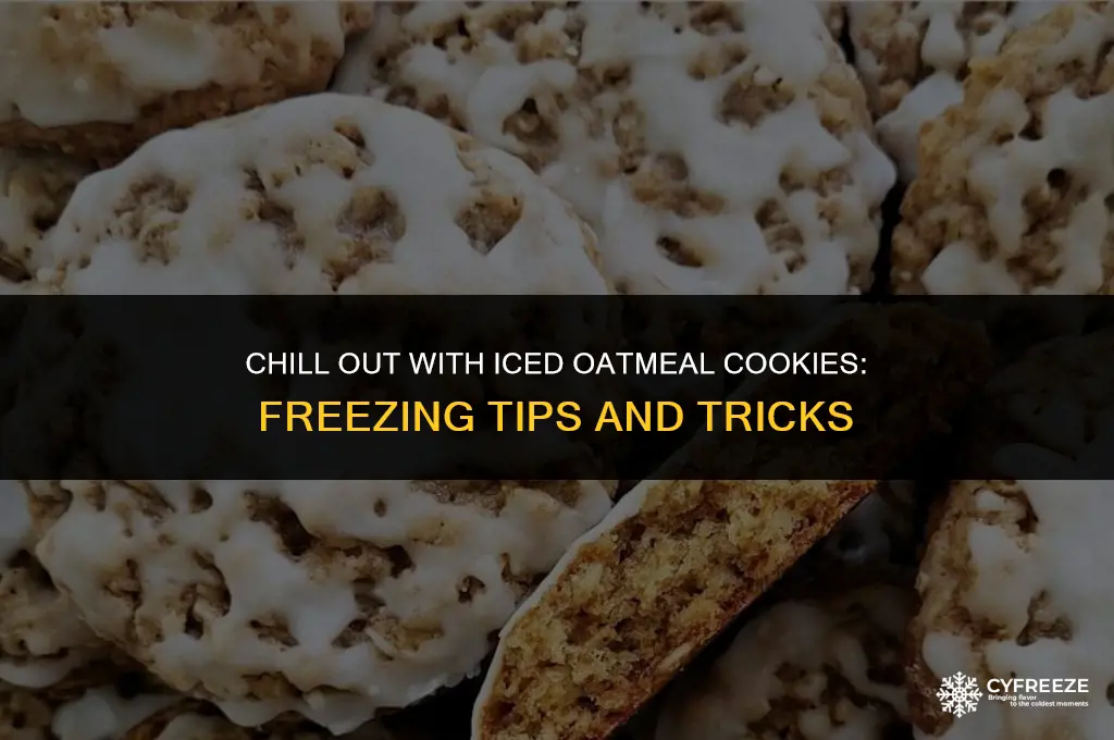 can you freeze iced oatmeal cookies