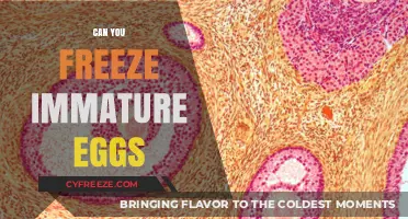 Freezing Immature Eggs: A Viable Option for Fertility Preservation?