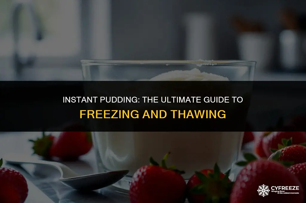 can you freeze instant pudding after you make it