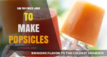 Chill Out with Homemade Juice Popsicles: A Refreshing Summer Treat