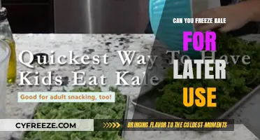 Freezing Kale: A Simple Guide to Preserve Freshness for Later