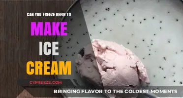 From Fermented to Frozen: Kefir's Creamy Ice Cream Transformation