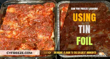 Freezing Lasagna with Tin Foil: Tips for Perfect Storage and Reheating