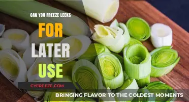Freezing Leeks: A Simple Guide to Preserve Freshness for Later Use