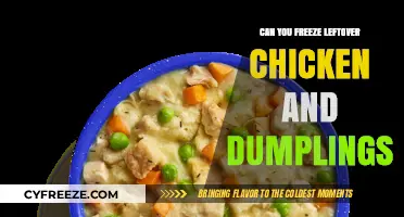Savor Later: The Ultimate Guide to Freezing Chicken and Dumplings