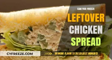 Smart Storage: Freezing Leftover Chicken Spread for Later Use