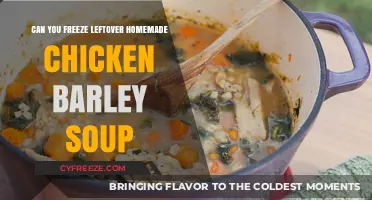Freezing Homemade Chicken Barley Soup: A Simple Guide
