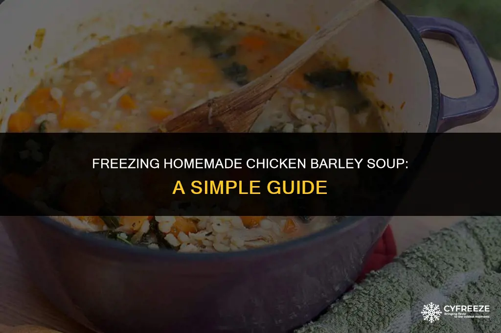 can you freeze leftover homemade chicken barley soup