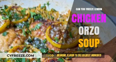 Delicious Lemon Chicken Orzo Soup: Freezer-Friendly Comfort in a Bowl