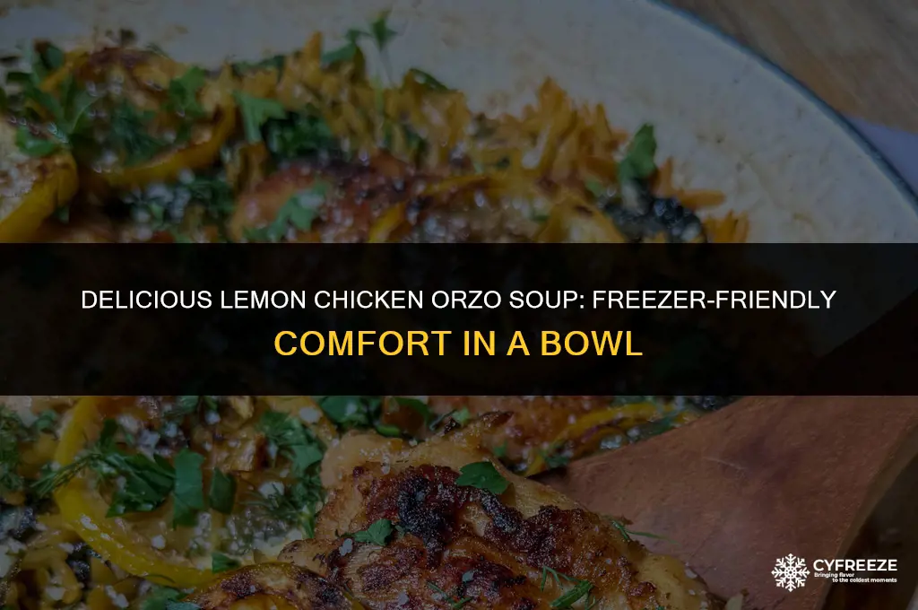 can you freeze lemon chicken orzo soup