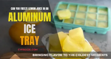 Zesty Preservation: Freezing Lemon Juice in Aluminum Ice Trays