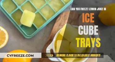 Zesty Preservation: The Ultimate Guide to Freezing Lemon Juice