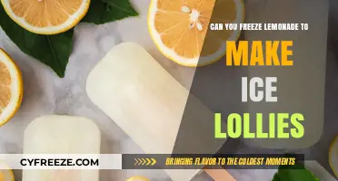 Sunny Sips Turned Sweet Treats: Freezing Lemonade into Ice Lollies
