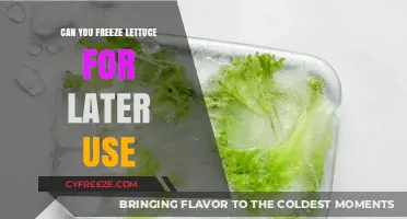 Freezing Lettuce: A Guide to Preserving Freshness for Later Use