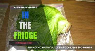 Freshness Preserved: The Ultimate Guide to Freezing Lettuce