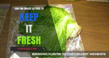 Leafy Greens Hack: The Ultimate Guide to Freezing Lettuce for Freshness