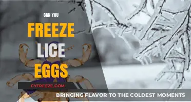 Freezing Lice Eggs: Effective Method or Myth? Expert Insights Revealed