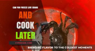 Sustainable Seafood: The Do's and Don'ts of Freezing Live Crabs