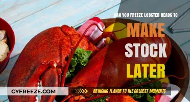 Savoring Seafood: Freezing Lobster Heads for Future Stock