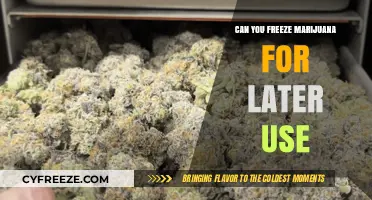 Freezing Marijuana: Preserving Potency and Freshness for Future Enjoyment