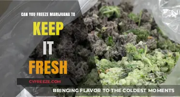 Preserving Potency: The Ultimate Guide to Freezing Marijuana