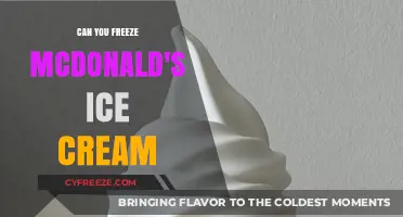 Can You Freeze McDonald's Ice Cream: A Complete Guide