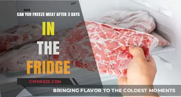 Freshness Preserved: Can You Freeze Meat After 3 Days in the Fridge?
