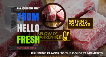 Fresh to Frozen: Can You Freeze HelloFresh Meat?