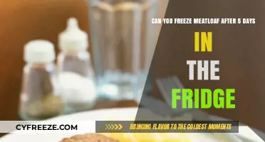 Reviving Leftovers: The Ultimate Guide to Freezing Meatloaf Safely