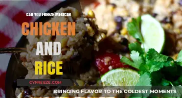 Savor the Flavor: Freezing Mexican Chicken and Rice Made Easy