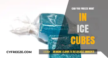 Cooling Your Breath: The Art of Freezing Mint in Ice Cubes