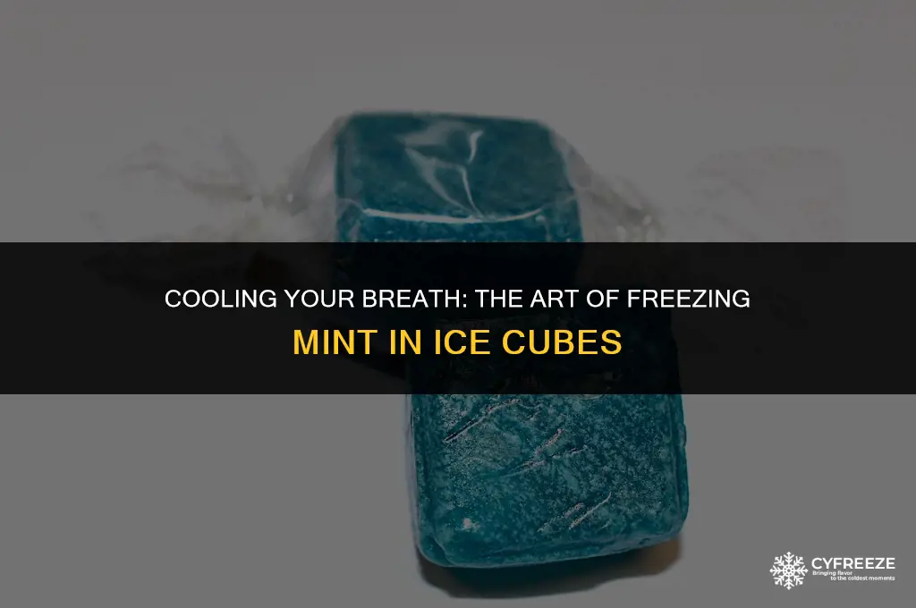 can you freeze mint in ice cubes