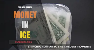Chilling Your Cash: The Surprising Truth About Freezing Money in Ice
