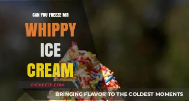 The Scoop on Freezing Mr. Whippy Ice Cream: A Sweet Success?