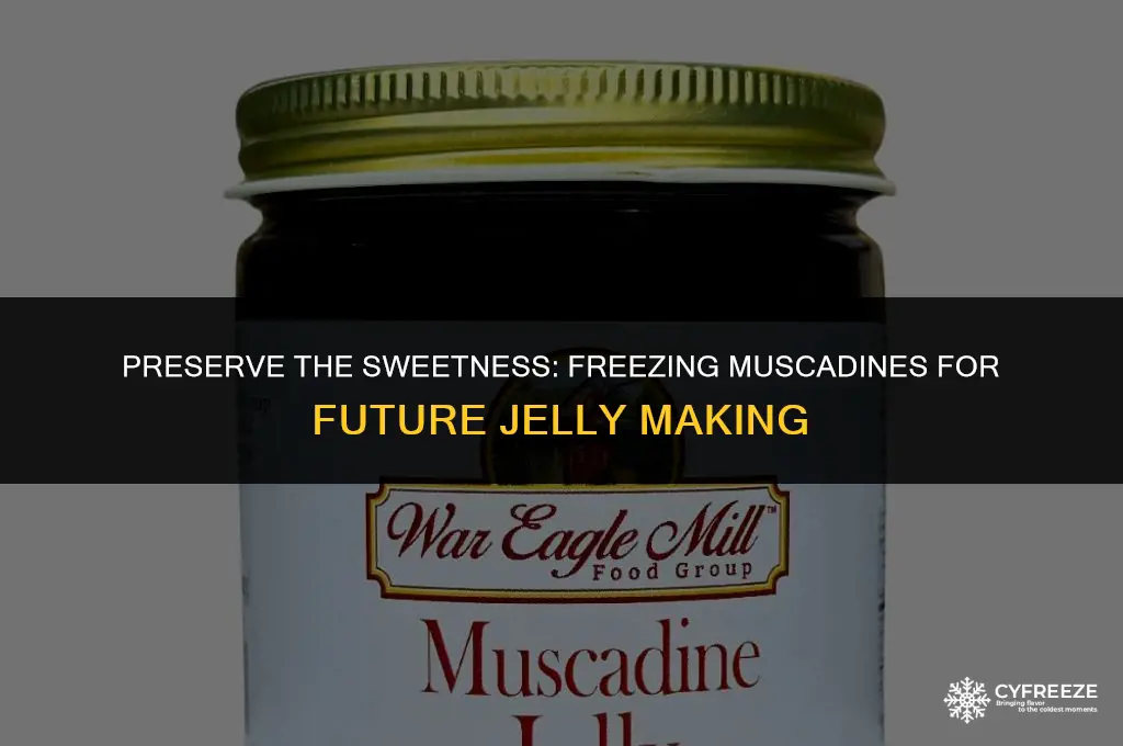 can you freeze muscadines to make jelly later