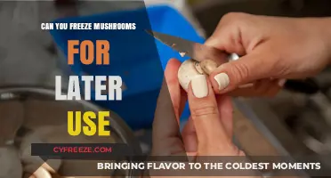 Freezing Mushrooms: A Handy Guide for Long-Term Storage and Use