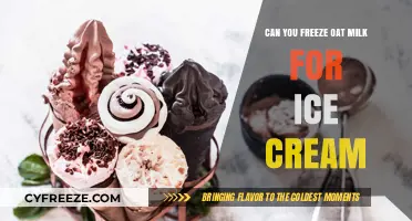 From Freezer to Treat: Oat Milk's Ice Cream Transformation