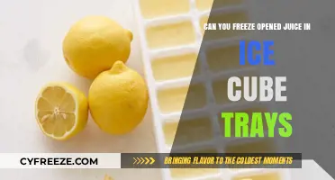 Smart Kitchen Hacks: Freezing Opened Juice in Ice Cube Trays