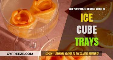 Chill Your OJ: The Ultimate Guide to Freezing Orange Juice in Ice Cube Trays