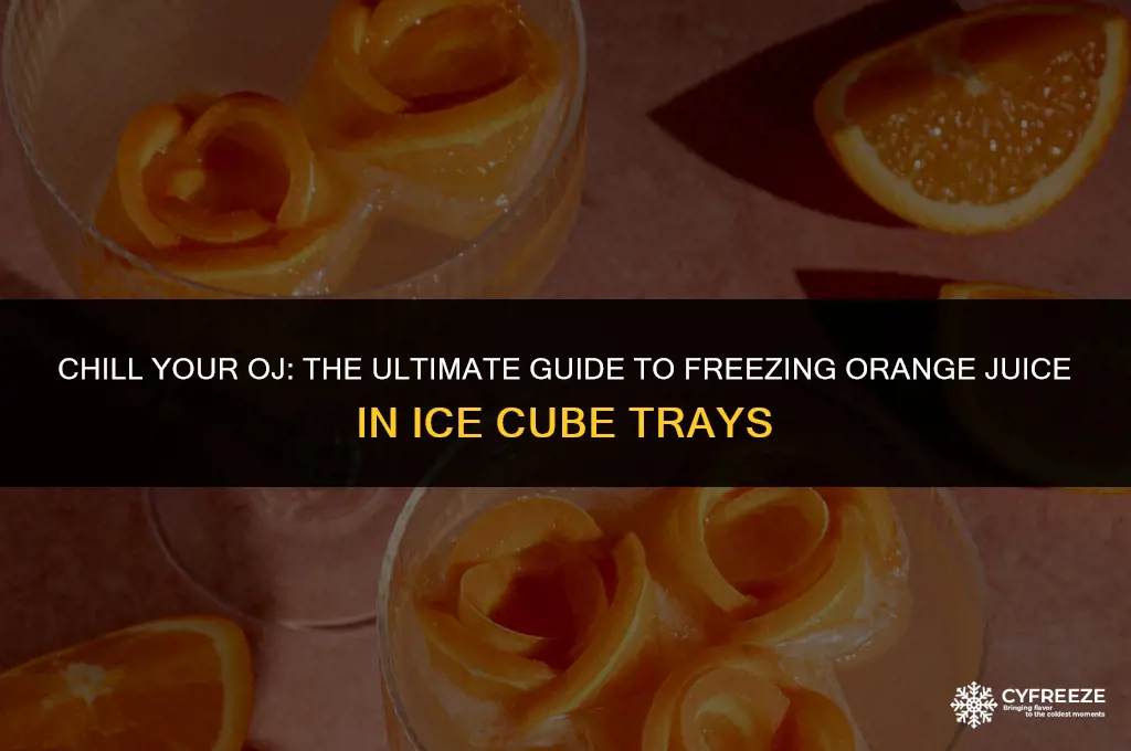 can you freeze orange juice in ice cube trays