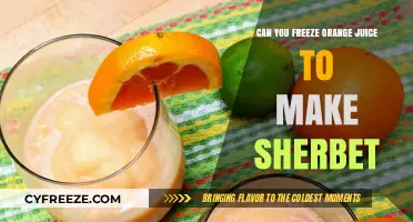 Sunny Sherbet: The Refreshing Magic of Frozen Orange Juice
