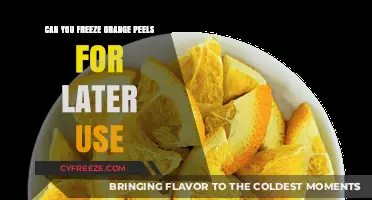 Freeze Orange Peels: Smart Tips for Preserving Citrus Zest Later