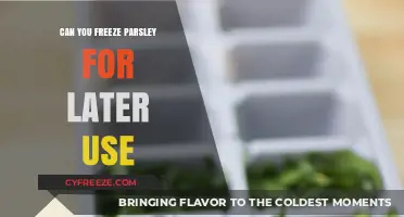 Freezing Parsley: A Simple Guide to Preserving Fresh Herbs