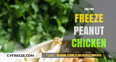 Peanut Chicken Freezing Guide: Preserve Your Favorite Dish with Ease