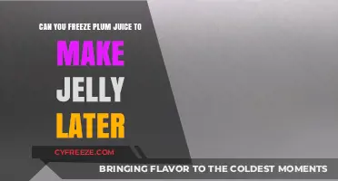 From Freezer to Spread: The Journey of Plum Juice Jelly
