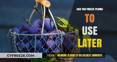 Freezing Plums: A Simple Guide to Preserve Freshness for Later Use