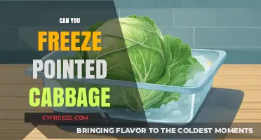 Freezing Pointed Cabbage: Tips for Long-Term Storage and Freshness