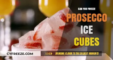 Chill Your Prosecco: The Art of Freezing Ice Cubes